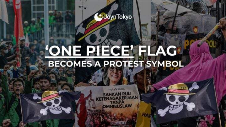 One Piece flag protest