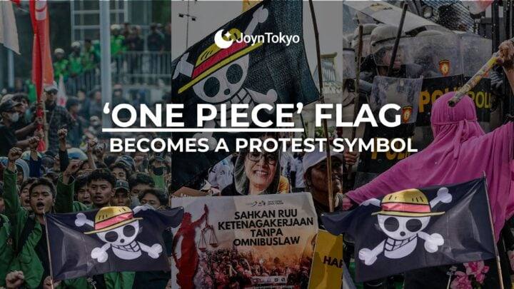 One Piece flag protest