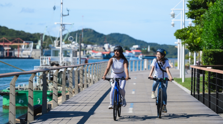 Bike rentals