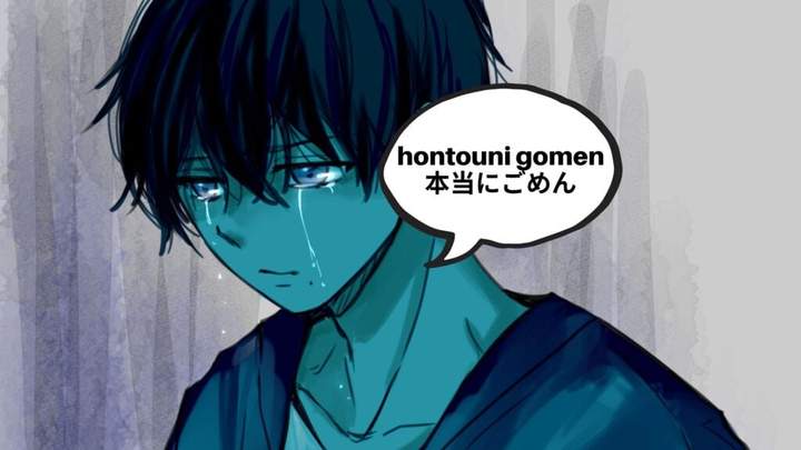 hontouni gomen in japanese