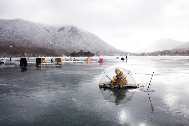 来源: 朝日新闻 - 三文鱼重返北海道