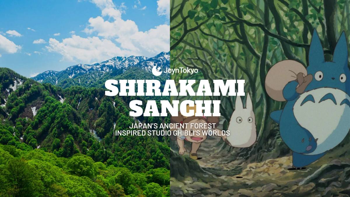 Shirakami Sanchi