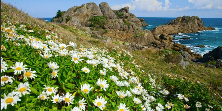 Tanesashi Coast (Hachinohe City, Aomori)
