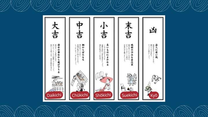 不同的大菊枝