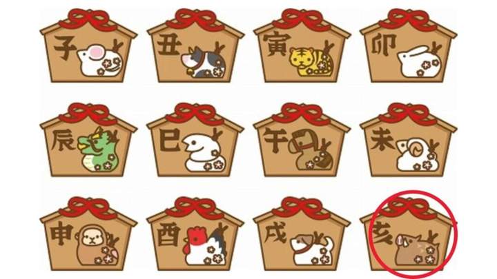 野猪 (Inoshishi - 亥)
