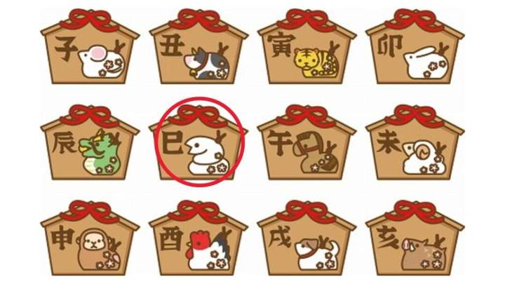 蛇(鹤壁 - 巳)