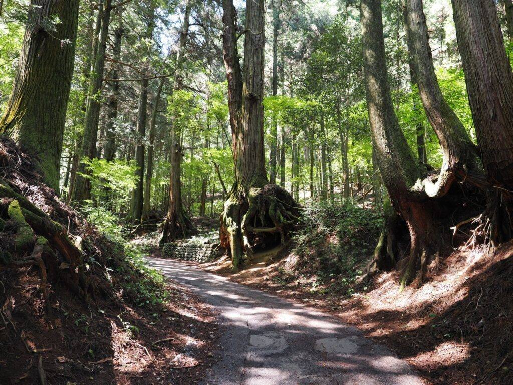 三岳山