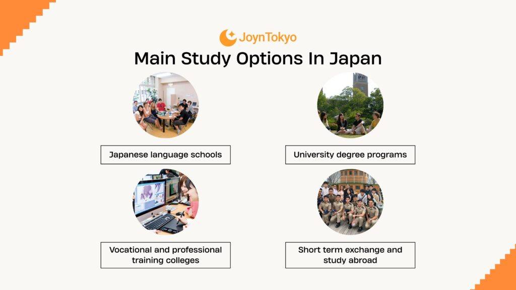 study options in japan