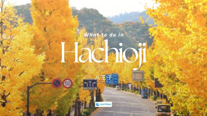 八王子平衡城市与自然 — cover image