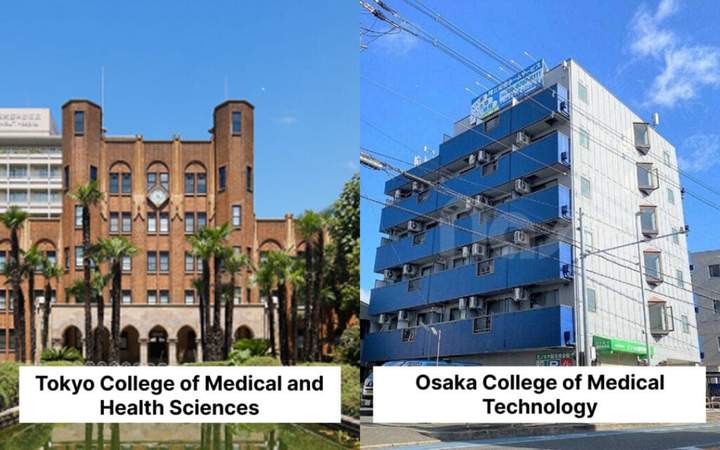 保健和福利职业学校