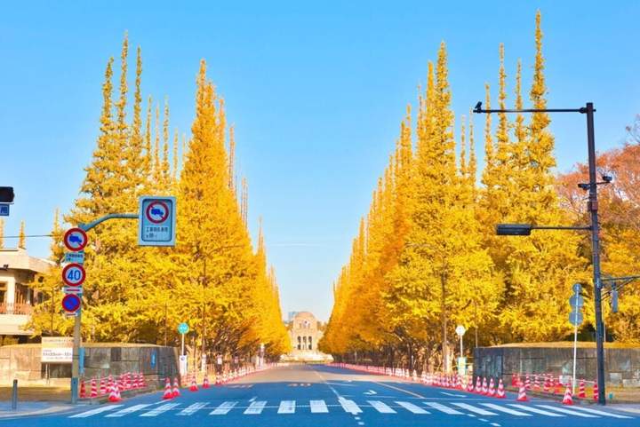 明治神宫外苑
