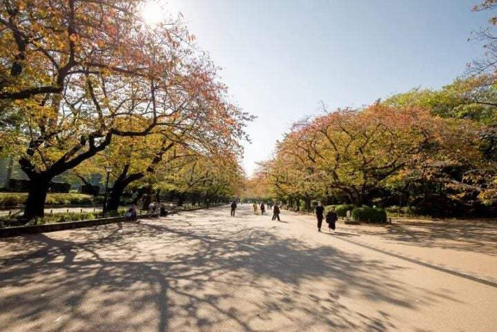 游览东京上野公园