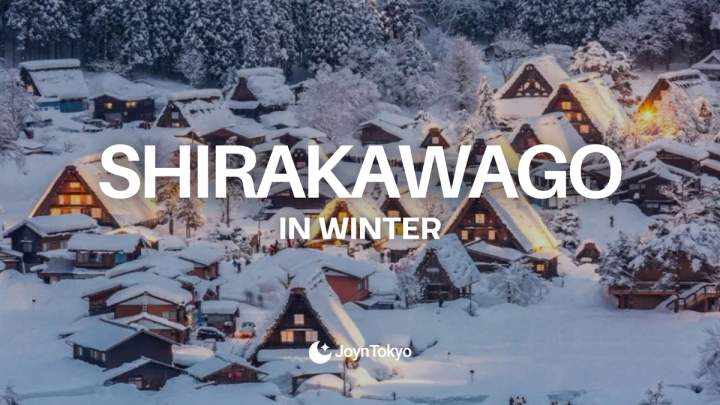 shirakawa winter