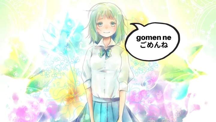 gomenne in japanese