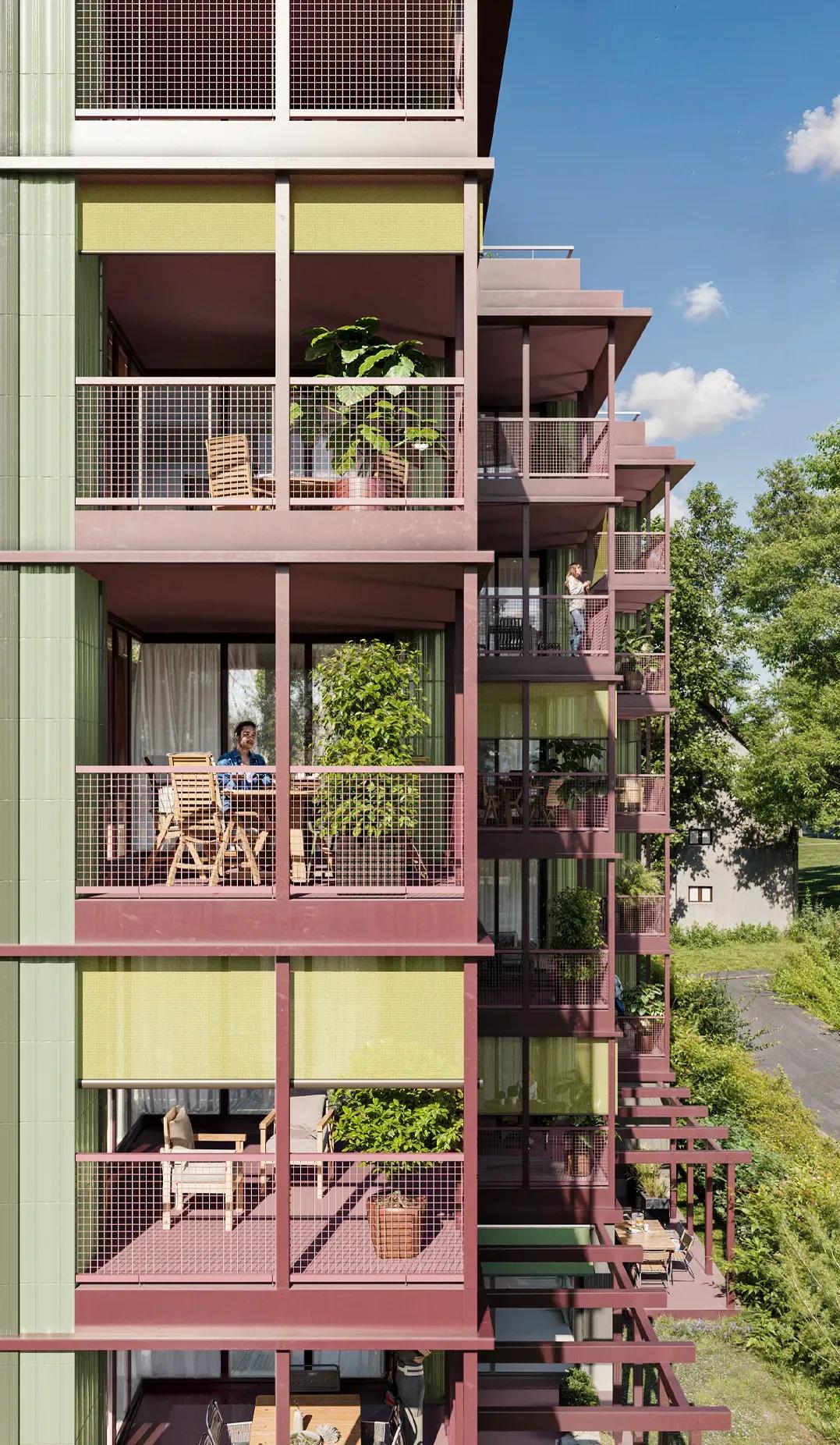 Hammelirain – Galerie 1