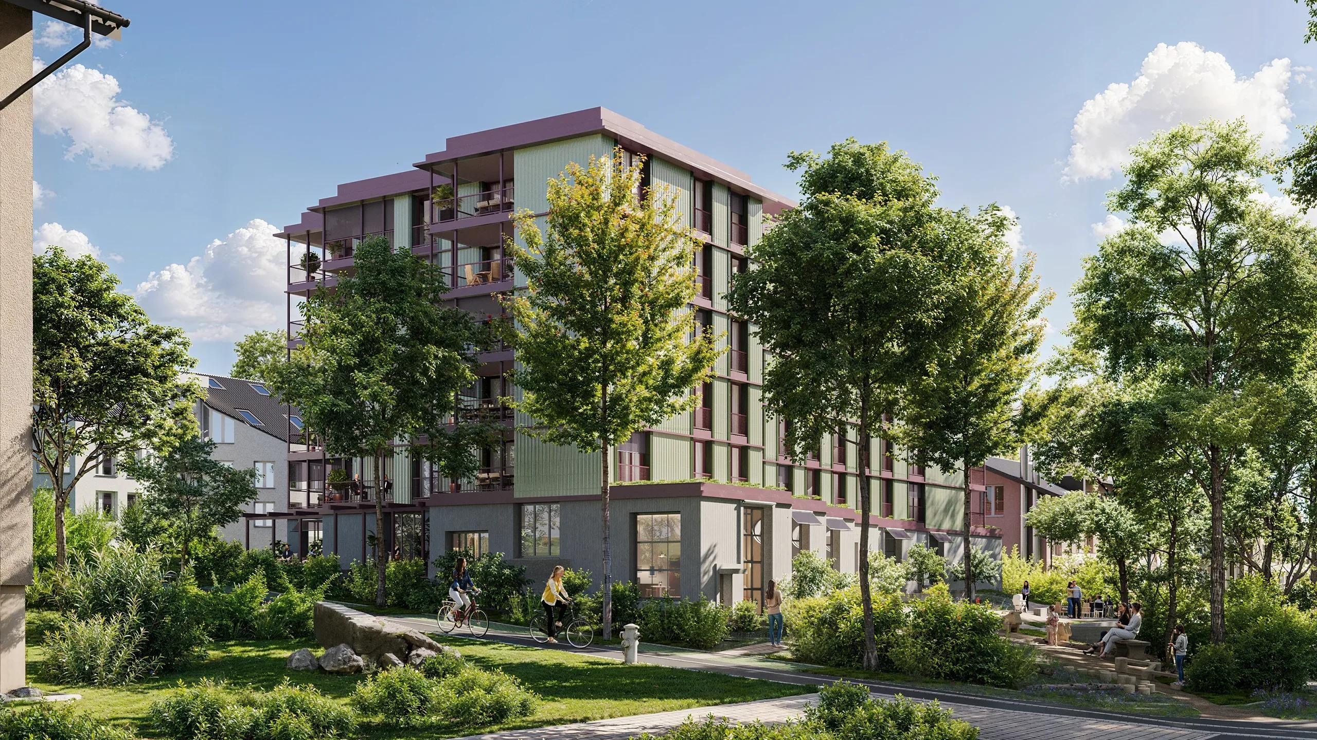 Hammelirain – Galerie 5