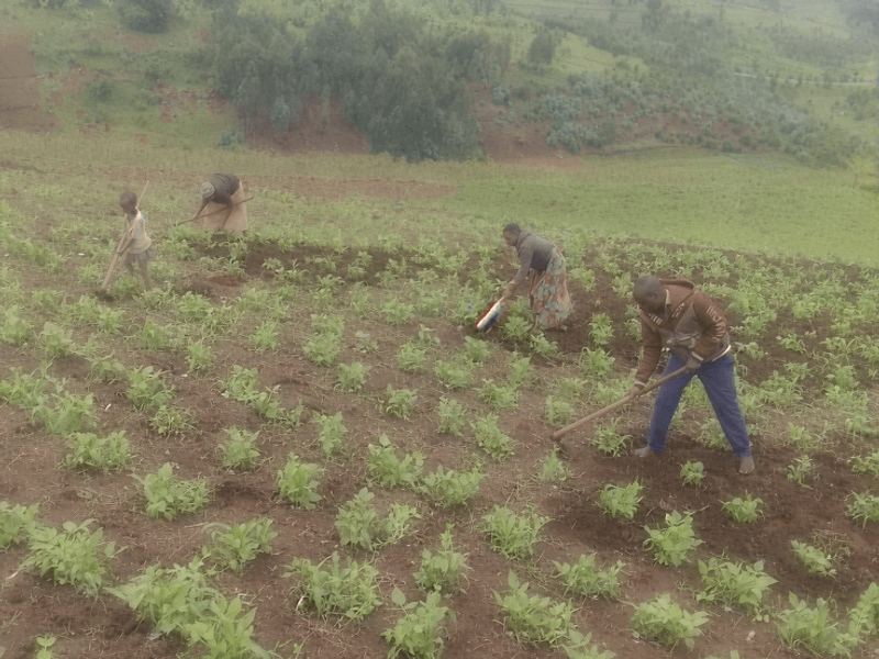 Evenement de charite