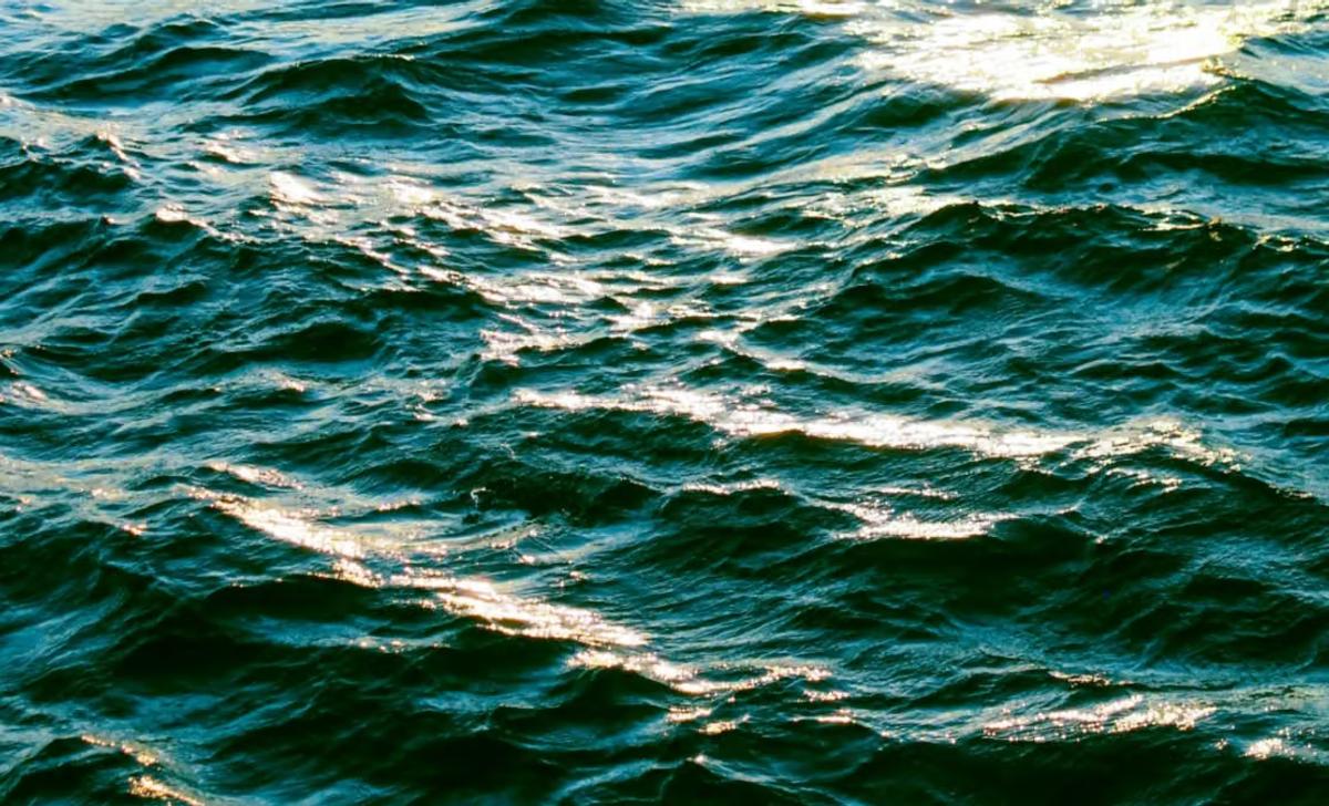 THEY SURVIVED FIVE DAYS IN THE OCEAN CLINGING TO A COOLER