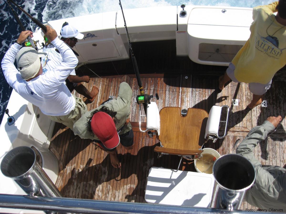 ¿TU BARCO ATRAE A LOS PECES O LOS ESPANTA?