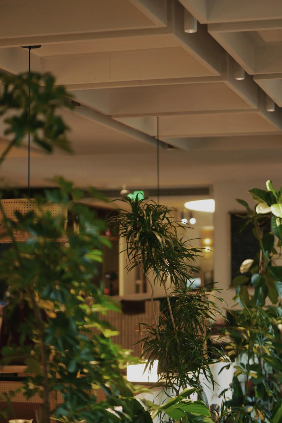 滇野云南餐厅 上海零售空间设计 | 有物建筑 MEANSGROUP