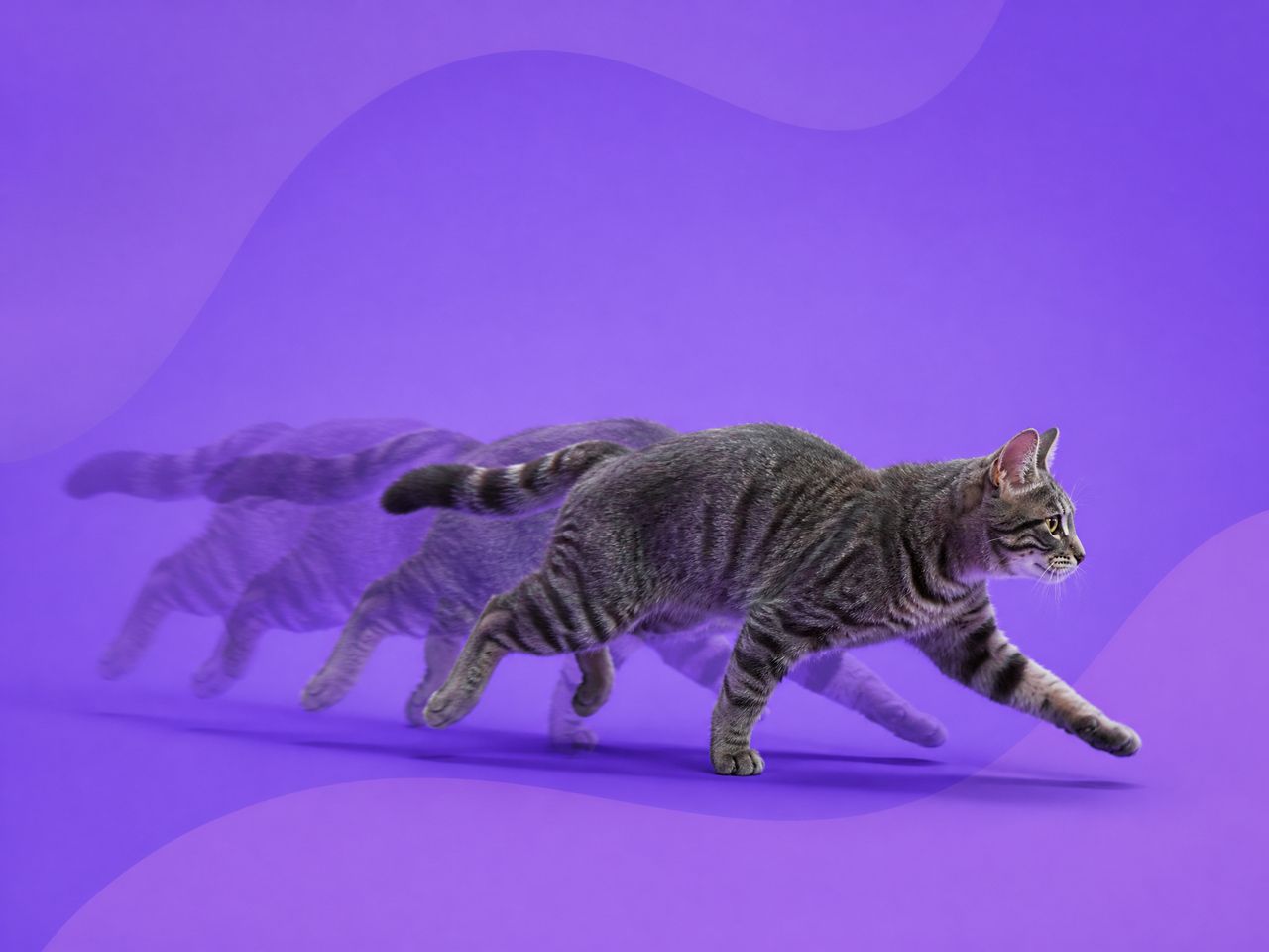 Smooth Motion in AI Video: Prompting Tips