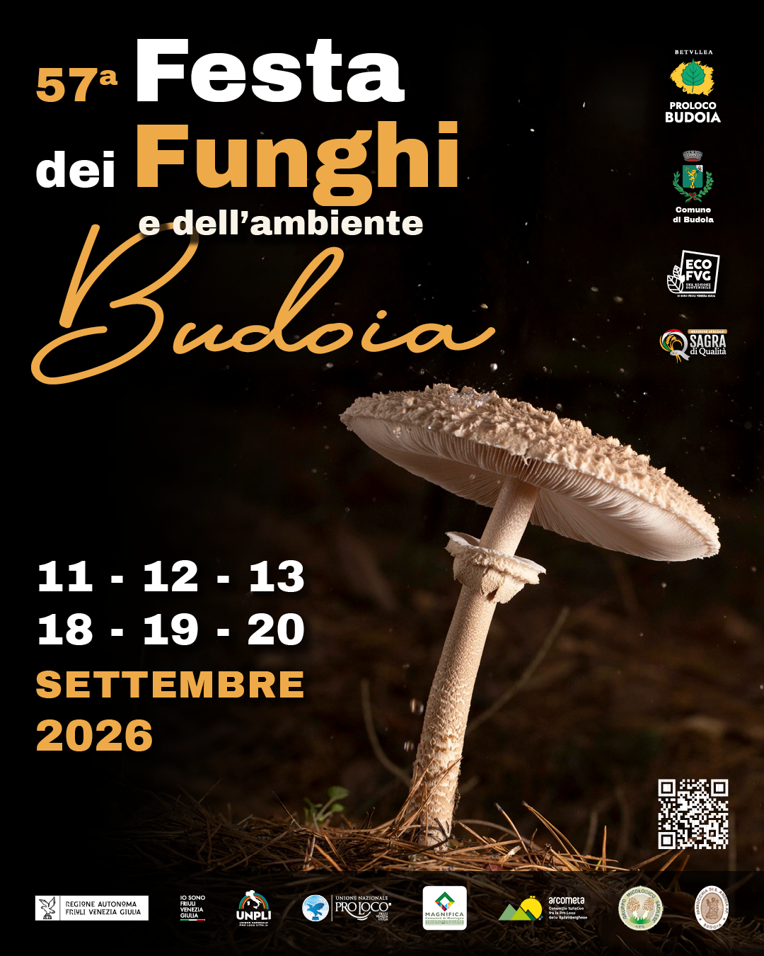 locandina 57ª Festa dei Funghi e dell'Ambiente