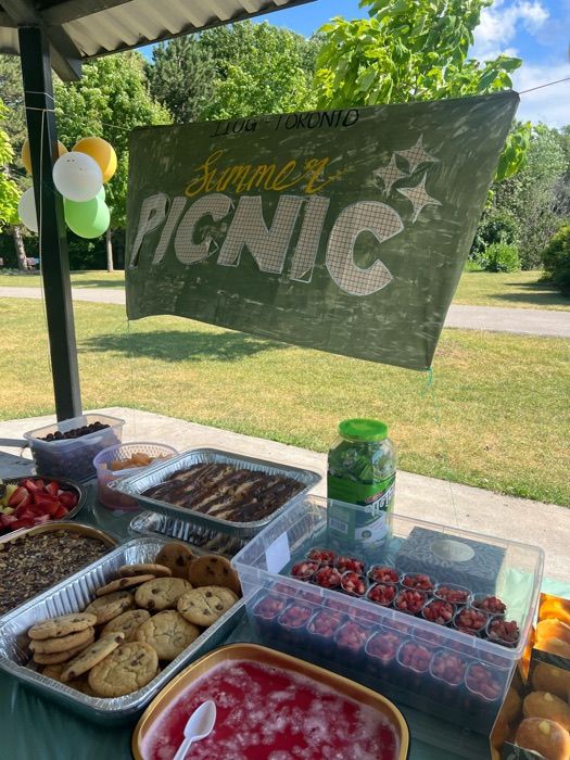 Summer Picnic spread under the park gazebo, Toronto