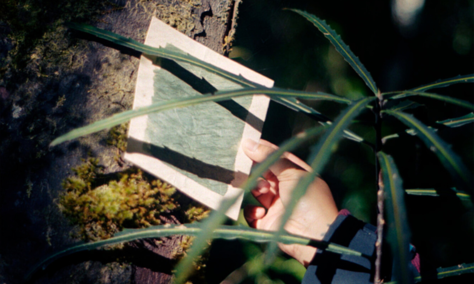 ‘Recording Mauri’: Cora-Allan Twiss maps life force through land, fibre, and protest