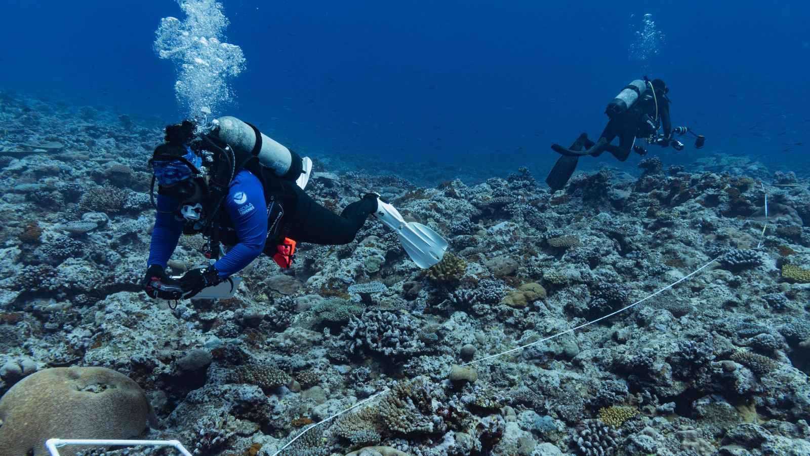 Although Sāmoa’s ocean has a warning, it has a way forward