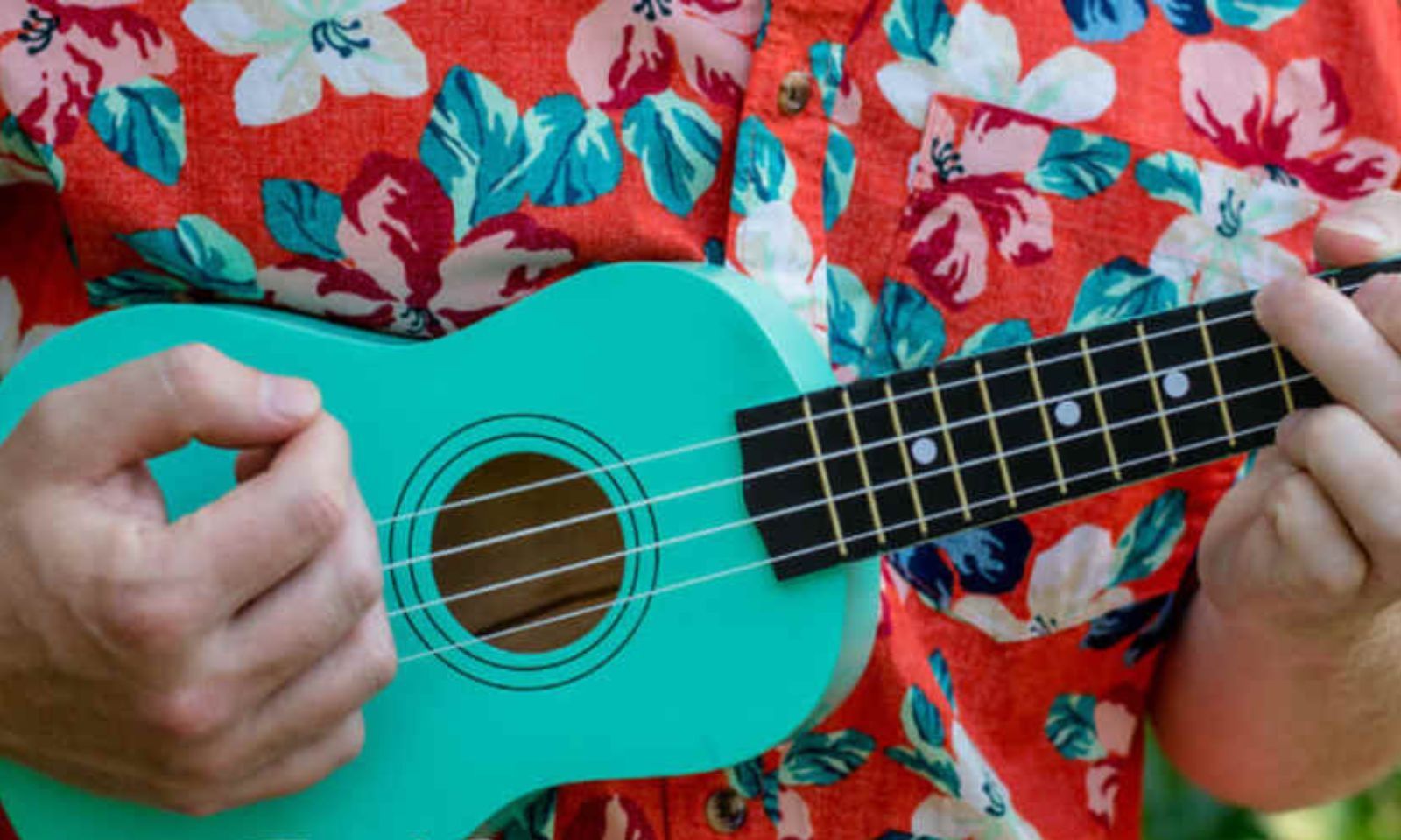 Four strings, one ocean: Pacific islands roots take centre stage on World Ukelele Day