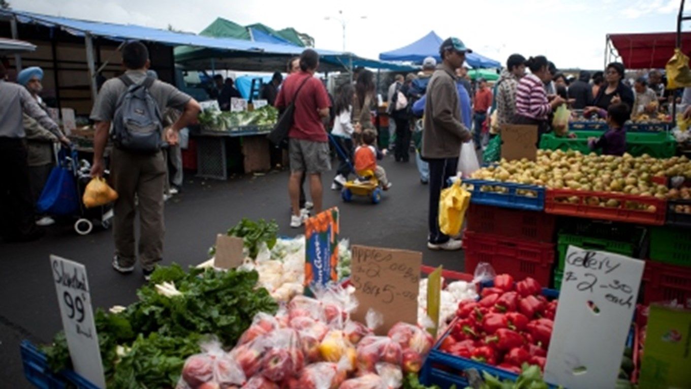 The summer hustle: How Pacific youth are turning sunshine into opportunity in NZ