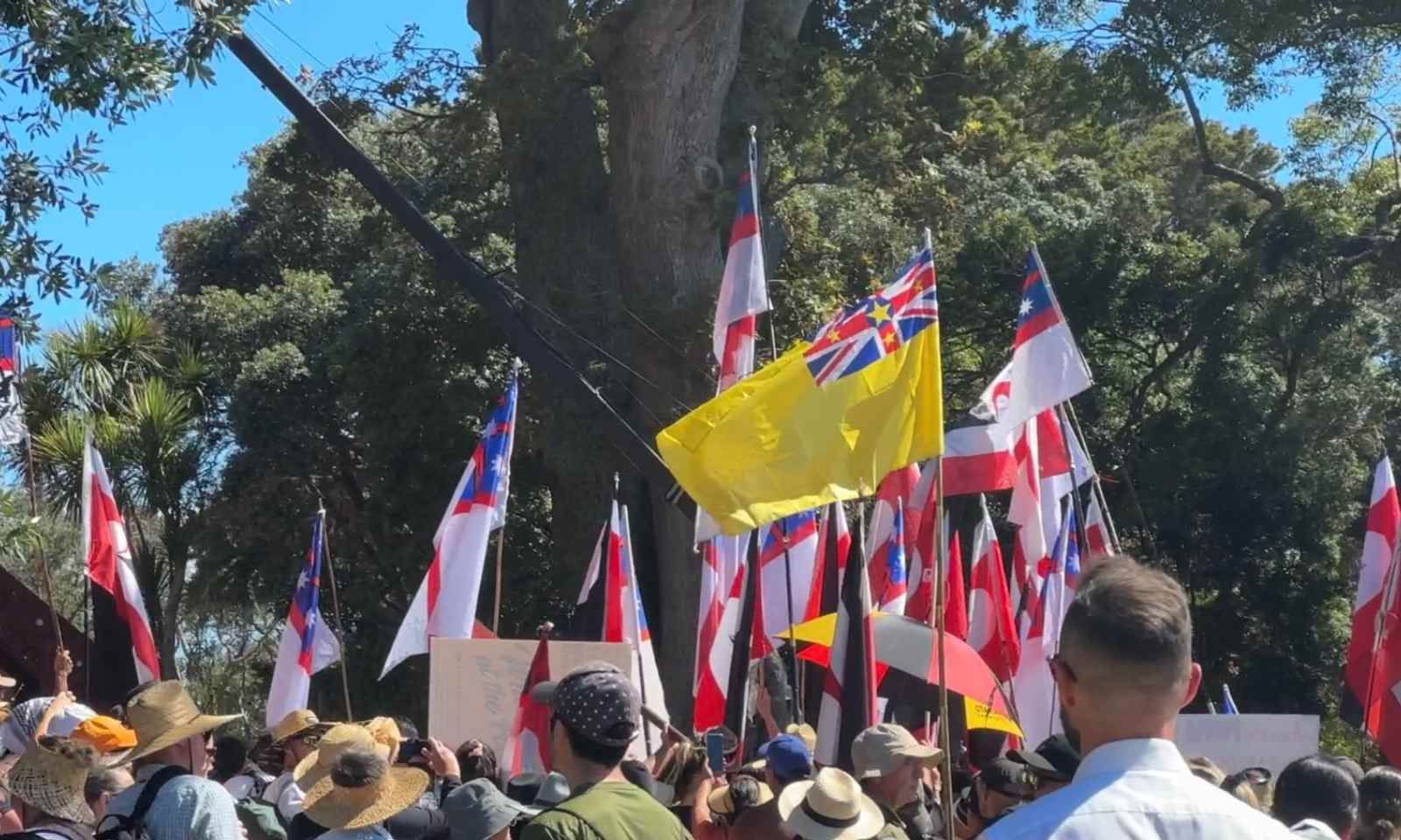 Flags displayed at Waitangi treaty grounds 2024