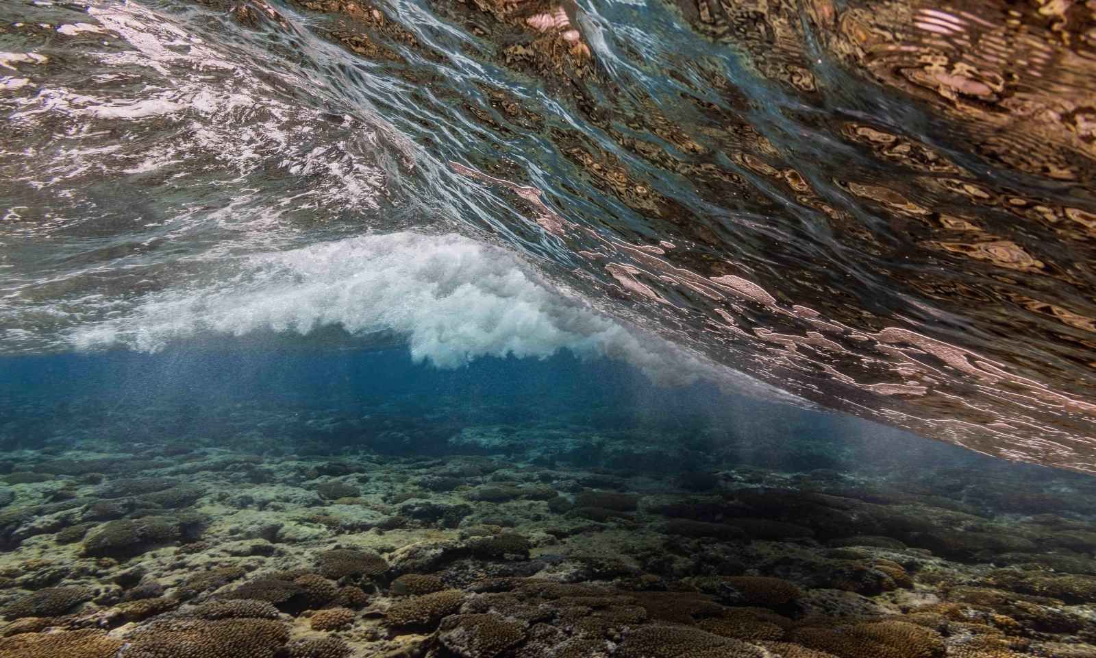 Rotuma’s coral reefs show resilience in National Geographic Pristine Seas survey