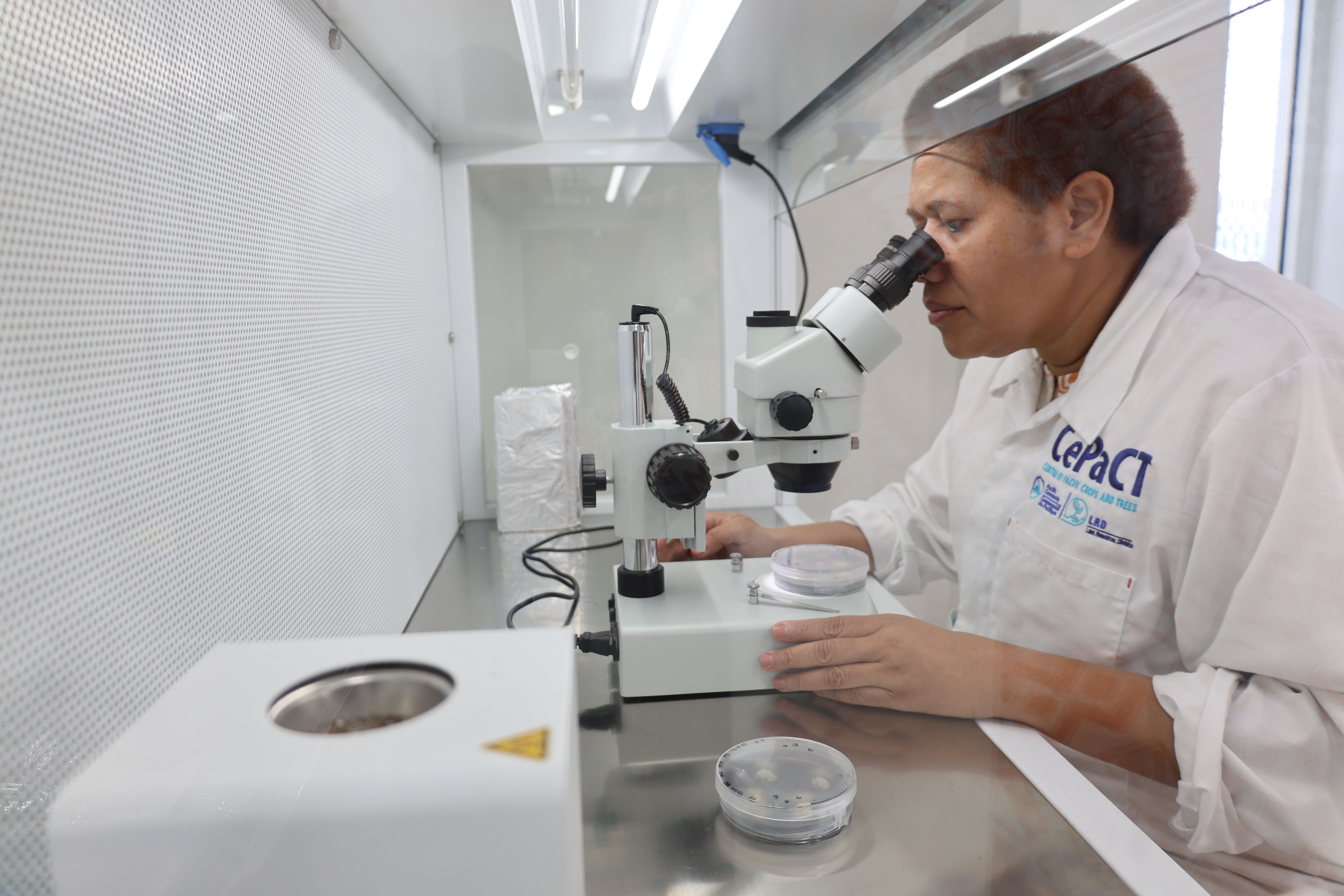 Pacific Islands first cryopreservation lab opens in Fiji to protect crops for the future