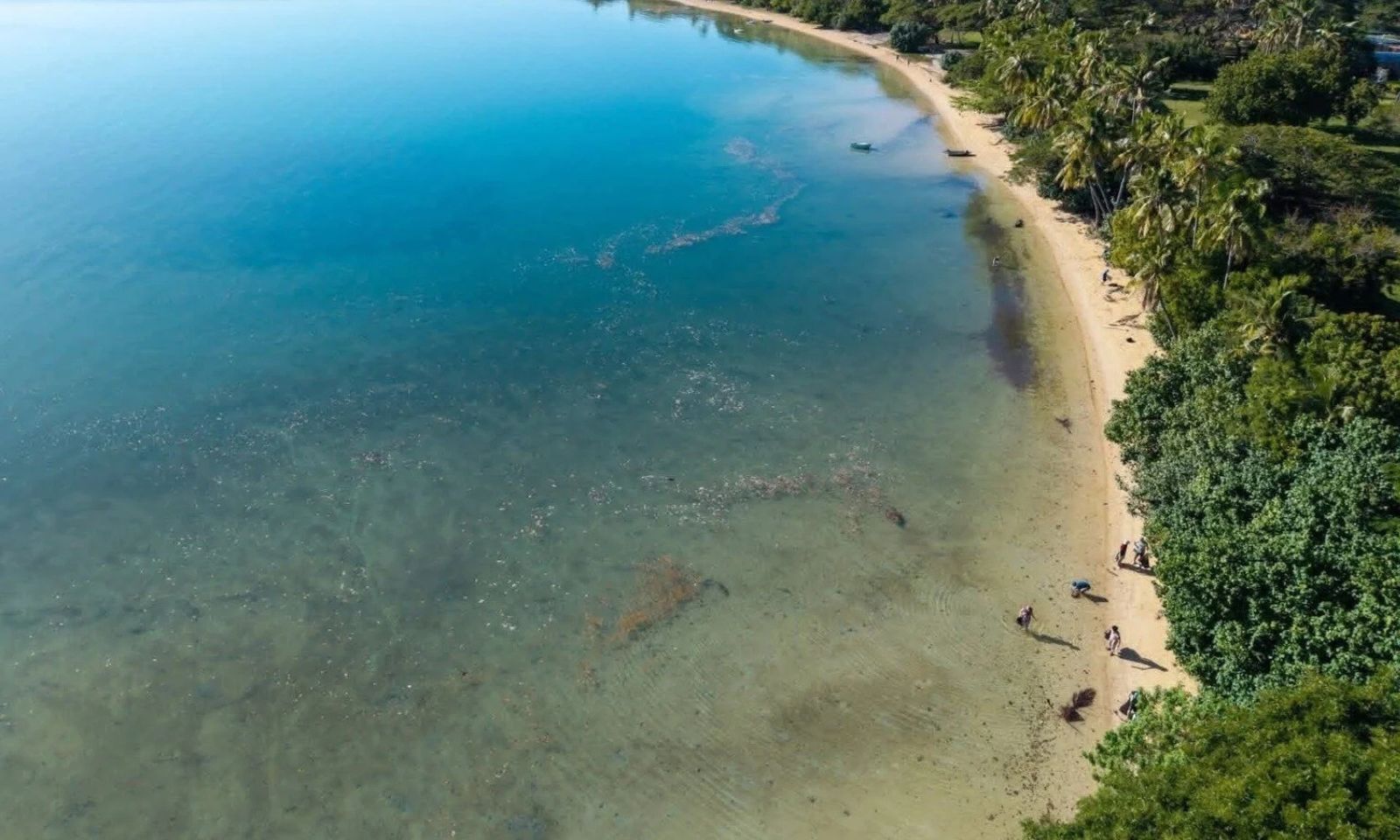 Fiji waste-to-energy plan sparks major backlash over Vuda coastal development