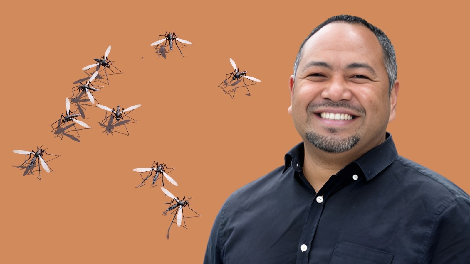 Protect your kāinga: Pacific health leaders warn travellers as dengue spreads