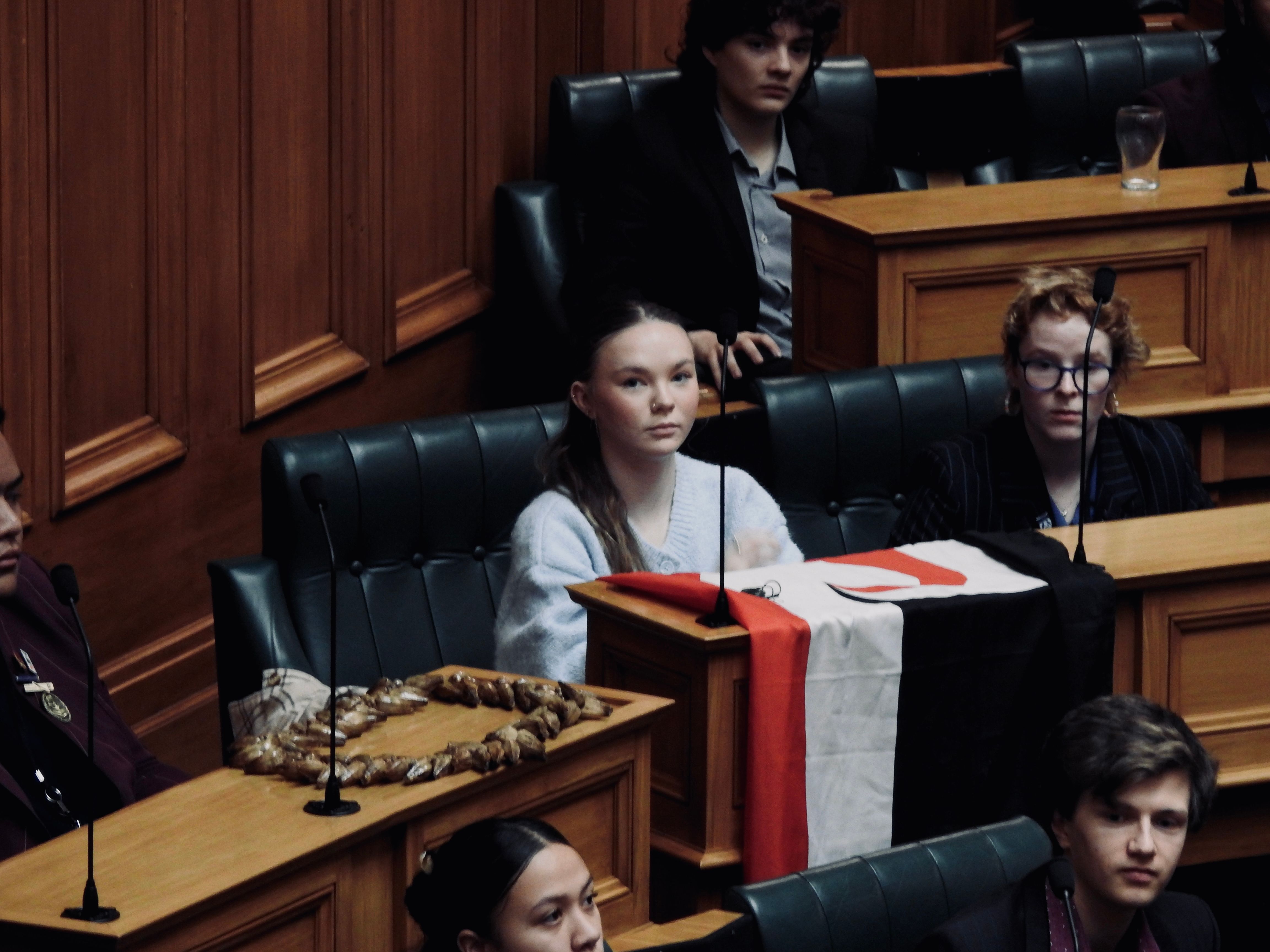 NZ's Youth Parliament erupts as Māori, Pacific MPs unite against race-based scholarships