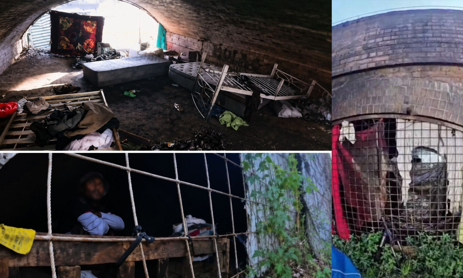 Ex-seasonal workers found living rough under Sydney bridge sparks welfare concern