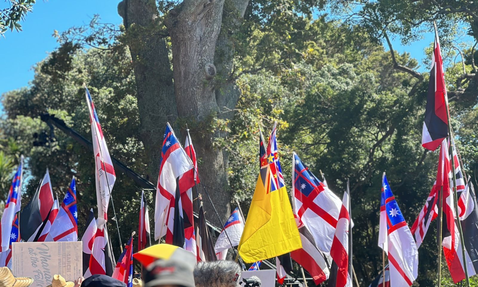 A Niue flag is spotted as the Hīkoi arrive to Te Whare Rūnanga Marae. Photo/PMN News/Atutahi Potaka-Dewes