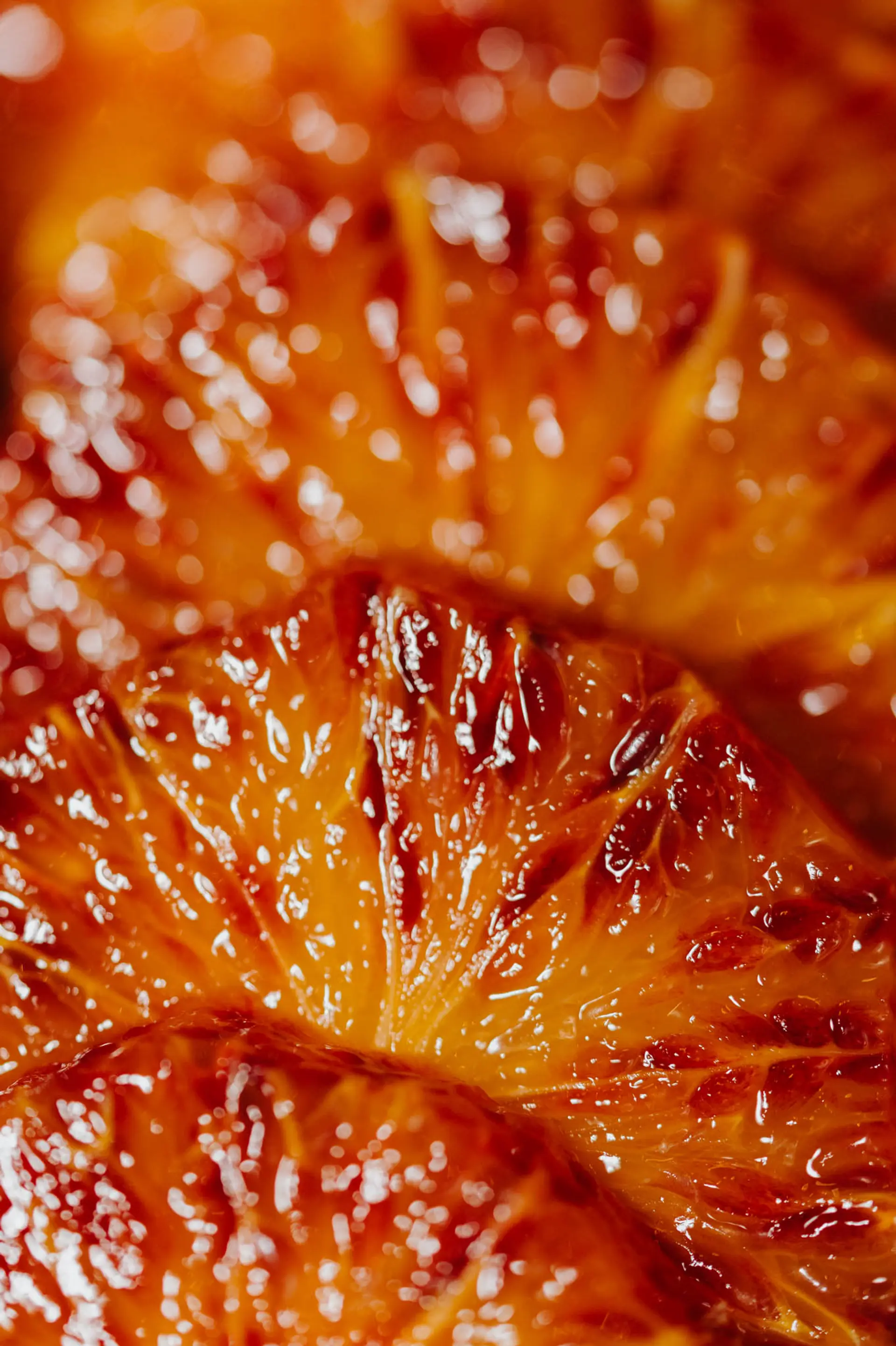 malva-restaurant-image