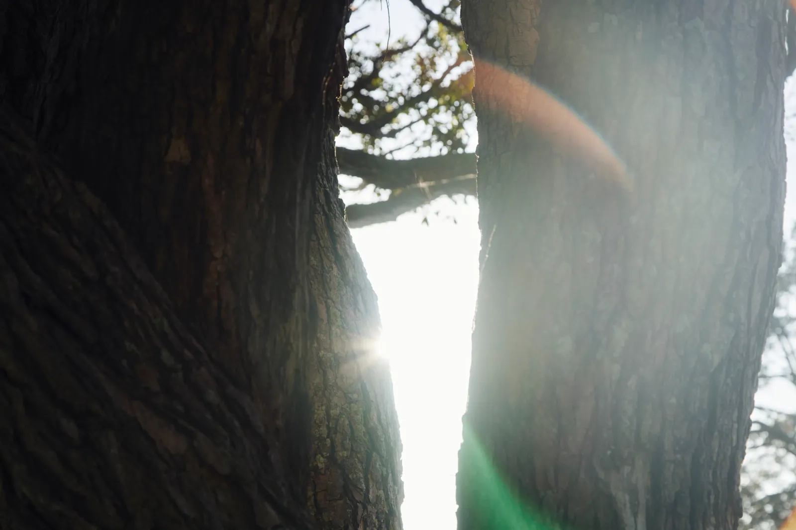 Real Stories - Lusan