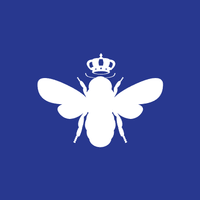 icon of Bombas