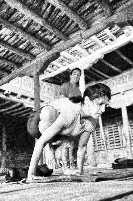 susan turis doing yoga arm balance