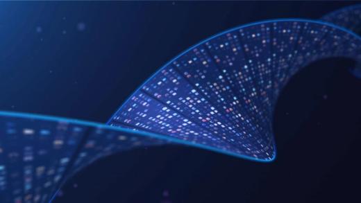 Microsegmentation vs Network Segmentation: The Question Every Security Team Eventually Asks