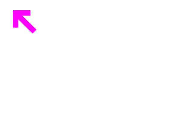 Trans Justice Project logo