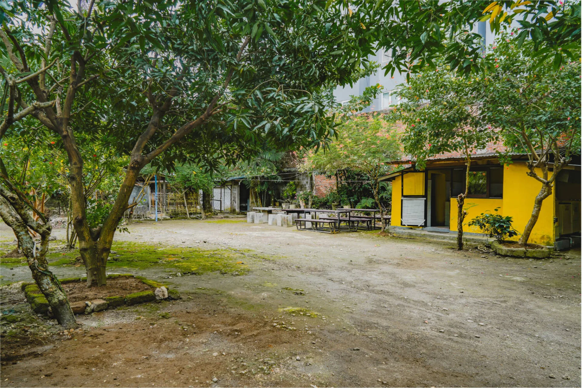 Image 19
