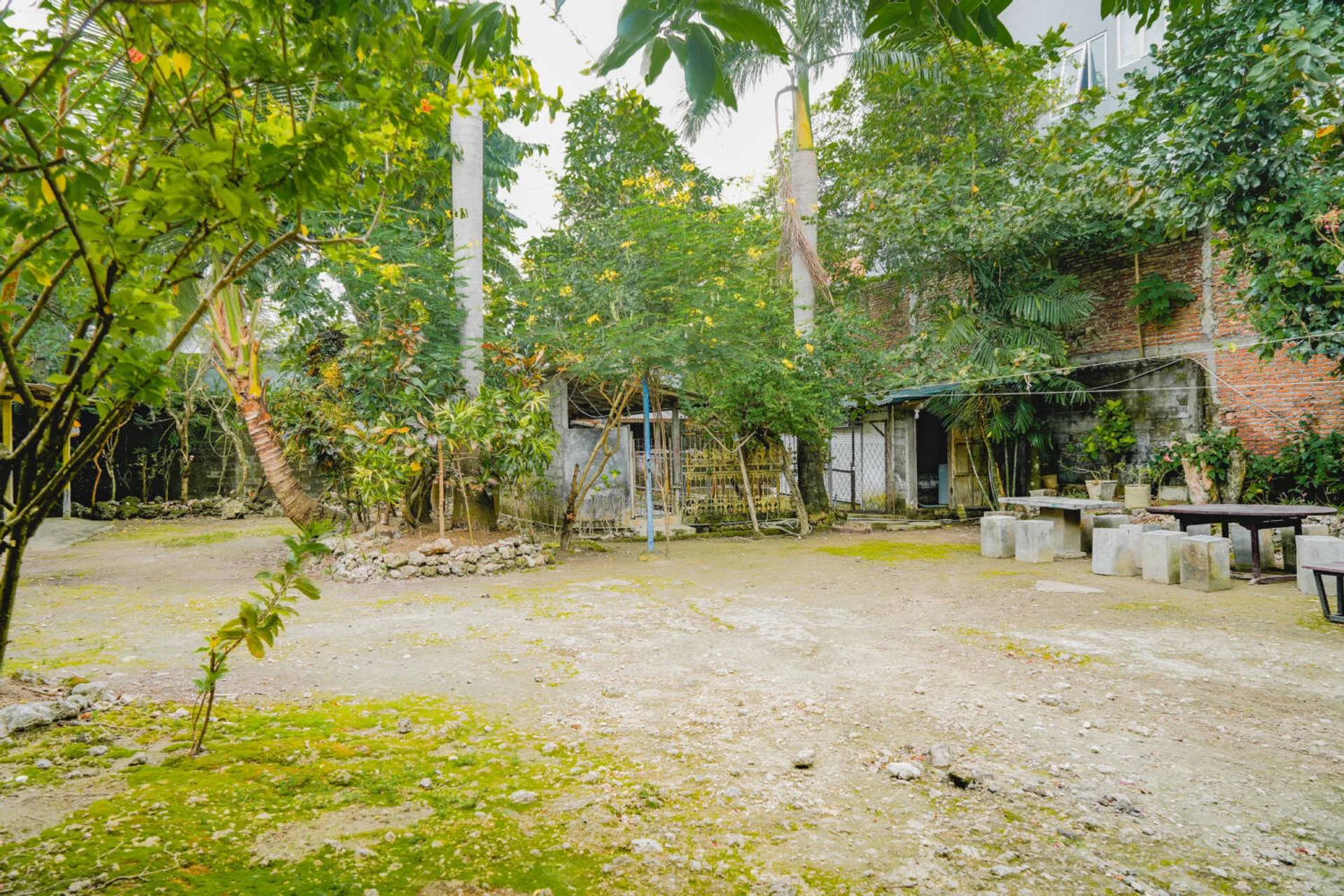 Image 21