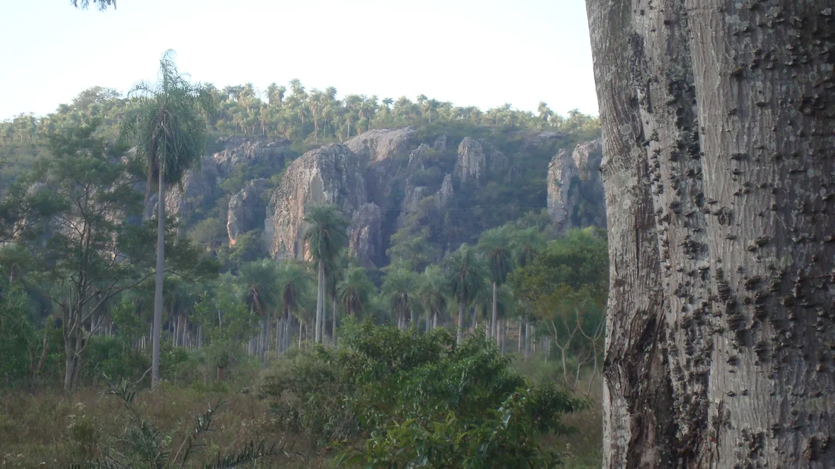 28-Room Mountain Hotel — Operational with 11% Yield