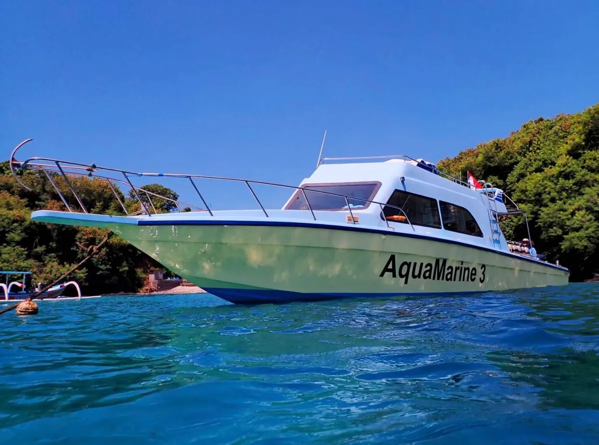 PADI 5-Star Scuba Diving Business — Turnkey Operation with Prime Land