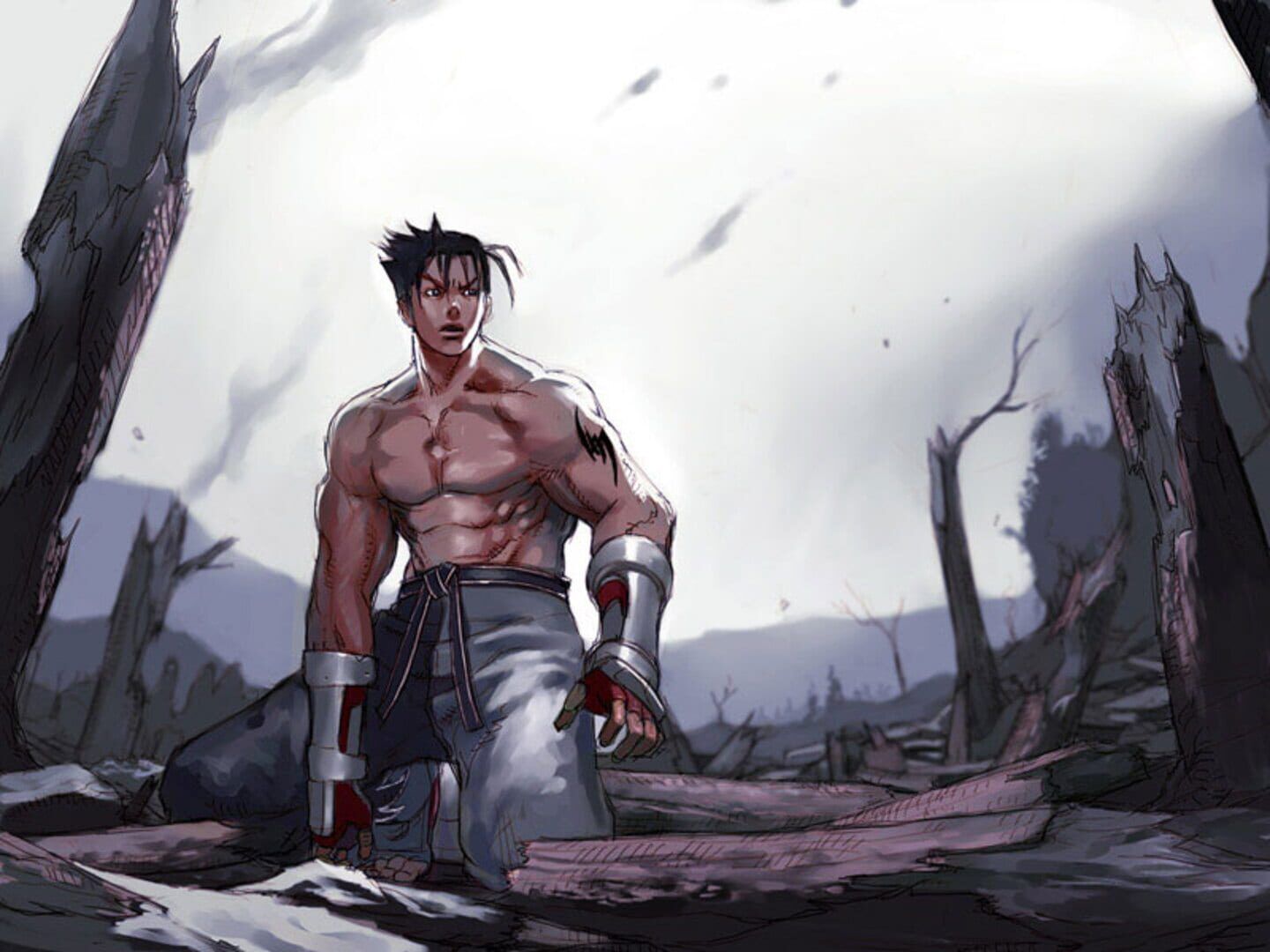 Tekken 5 artwork 3